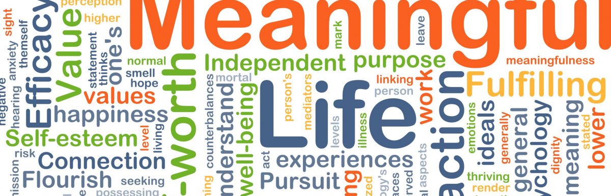 Meaning In Life Is Critically Important To Well-Being. Entrepreneurship Is A Key Route To Get There.
